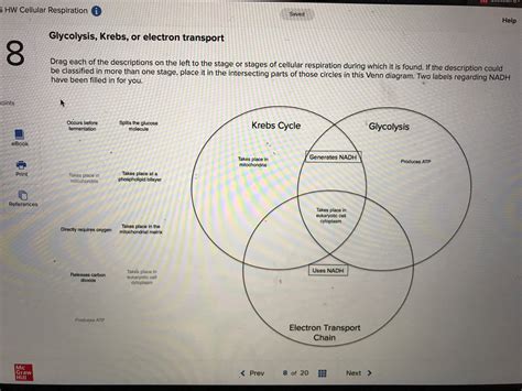 Photosynthesis And Cellular Respiration Venn Diagram