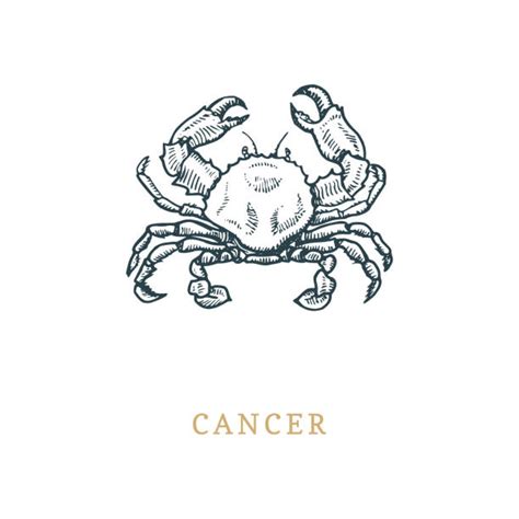 480 Drawing Of A Cancer Crab Horoscope Sign Zodiac Stock Illustrations