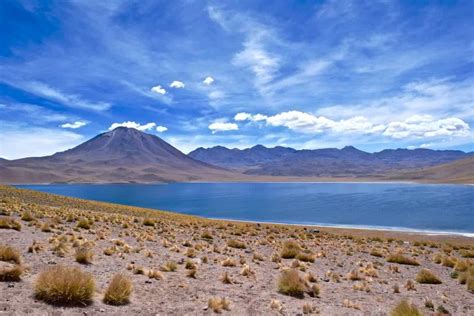 A Tour Of Atacamas Salt Flats And Altiplanic Lagoons Chile 2024 Guide