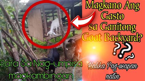 Magkano Ba Ang Puhunan Sa Pag Aalaga Ng Kambing Youtube