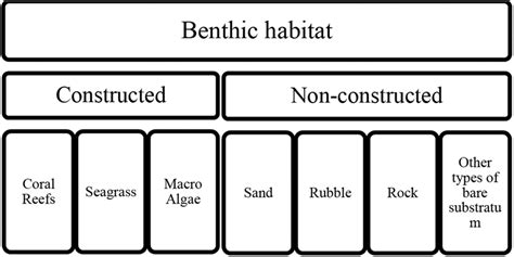 Benthic habitats classification framework of this study | Download ... 