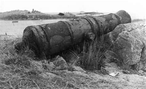 Cannon Ruapuke Island Nearshore Islands Te Ara Encyclopedia Of New