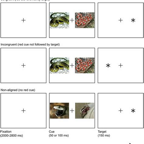 Overview Of Trial Structure In Congruent Incongruent And Non Aligned Download Scientific