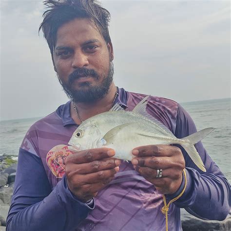 Gaint travally fish catching using castnet in the rock beach | Gaint