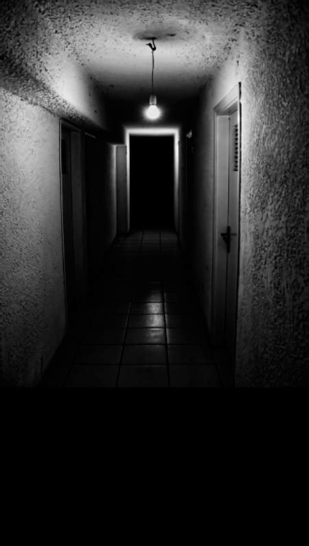 Dark Basement Hallway Backdrop | Photo Pie