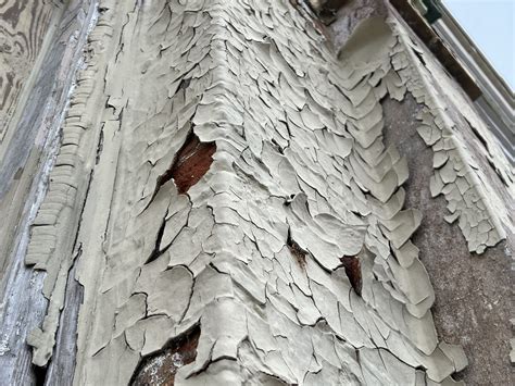 Lead-Based Paint Inspection, Lead Testing - Alpine Building Performance