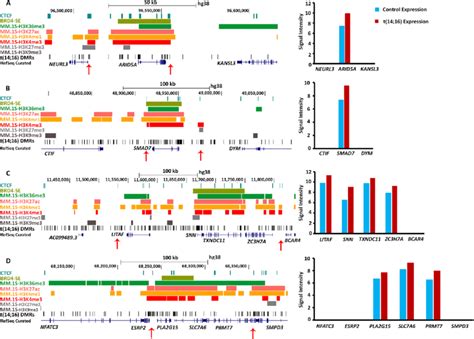 Super Enhancer Control Of Gene Expression In Mm Overlapping Of