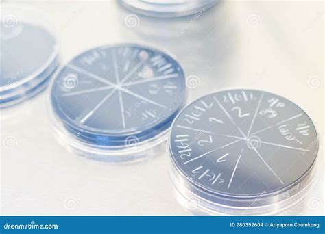 Petri Dish With Bacterial Colonies On Petri Dish In Microbiology