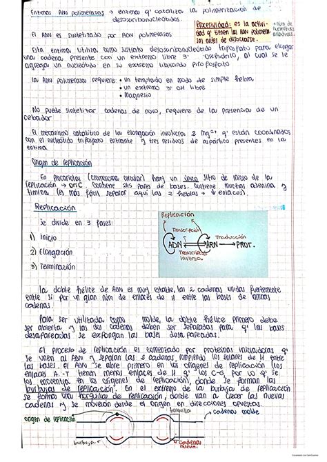 Solution Biosintesis De Acidos Nucleicos Studypool