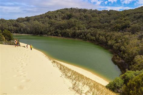 Hiking K'gari - Fraser Island - Drop Bear's K'gari Adventures