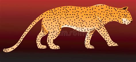 Leopard Walking Stock Vector Illustration Of Asia Africa