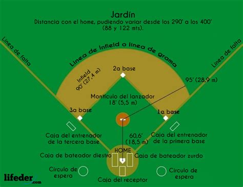 Reglas Del Béisbol Jugadores Posiciones Campo Puntos