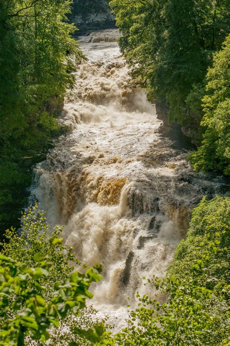 Falls Of Clyde Trailcam Scottish Wildlife Trust