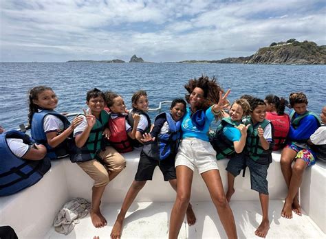 Projeto Golfinho Rotador Faz Anos E Realiza A Es Educativas