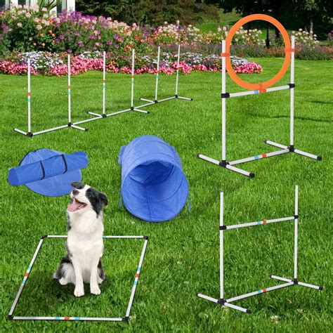 Dog Agility Equipment, Dog Agility Equipment Design Project Dog ...