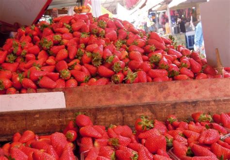 Strawberry Central Carmel Market In Tel Aviv