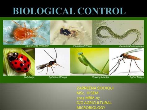 biological control
