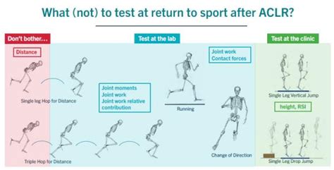 Aspetar Sports Medicine Journal Criteria Based Rehabilitation And