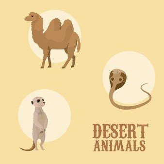 Premium Vector | Desert animals cartoon