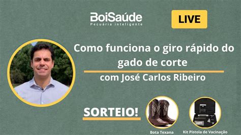 159 COMO FUNCIONA O GIRO RÁPIDO DO GADO DE CORTE AO VIVO 31 07