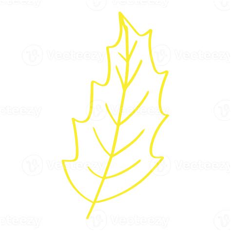 Oak Leaf In Minimalist Boho And Vintage Hand Drawn Illustration For