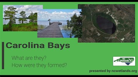 Carolina Bays Explained By Youtube