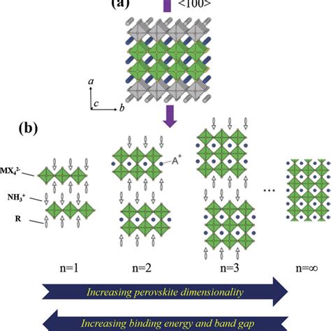 Schematic Representation Of 〈100〉 Oriented Layered Perovskite Species Download Scientific