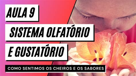 Como Voltar A Sentir Cheiro E Gosto - Videoaula 9 Sistema olfatório e gustatório - COMO SENTIMOS OS CHEIROS E ...