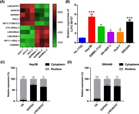 Linc Impairs The Natural Killer Cell Antitumour Activity In