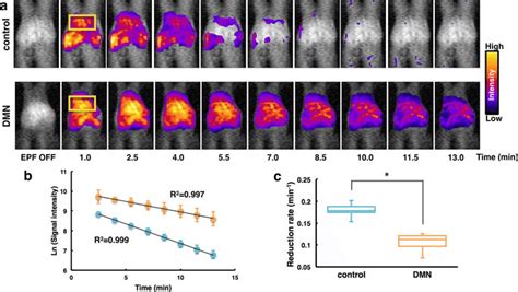 Redox Imaging Of Liver In Dimethylnitrosamine Dmn Treated Mice Using