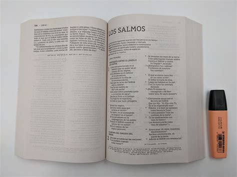 Santa Biblia Nbla Edici N Econ Mica Letra Grande Tapa R Stica