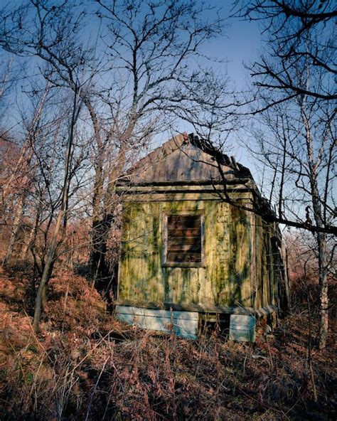 Premium Photo | Abandoned house in the forest