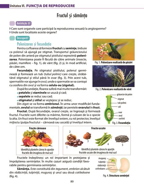 Biologie Pentru Clasa A VII A A796 Pdf Pag 80