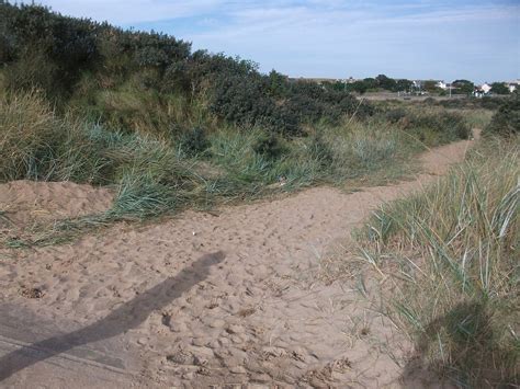 Skegness Beach Dunes - Free photo on Pixabay - Pixabay