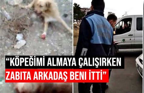 AKP li belediyenin aracından korkunç görüntüler Kan revan içinde 2