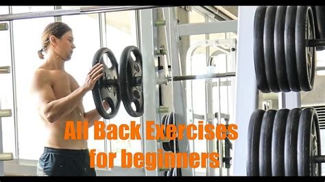 All Back Exercises for beginners | Back exercises, Workout for beginners, Exercise