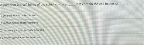 Solved e posterior (dorsal) ﻿horns of the spinal cord are | Chegg.com