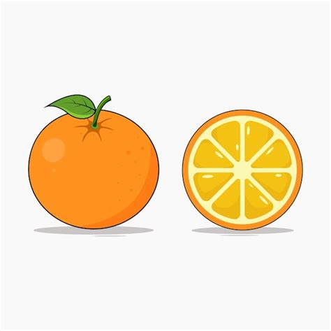 Premium Vector Orange Fruit Vector Illustration