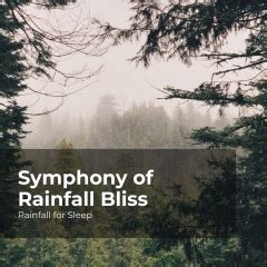 Rainfall For Sleeprain Showerrain Man Sounds Symphony Of Rainfall