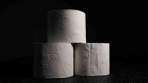 Why Compostable Toilet Paper Is The Most Environmentally Friendly ...