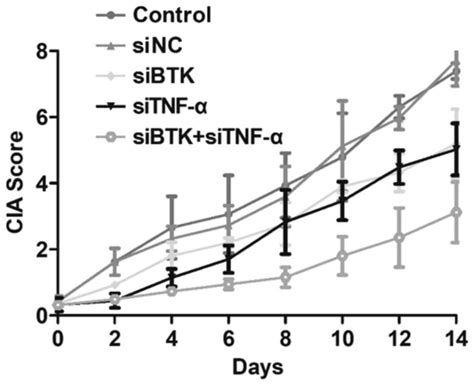 Synergistic effect of Bruton s tyrosine kinase and TNFα in the