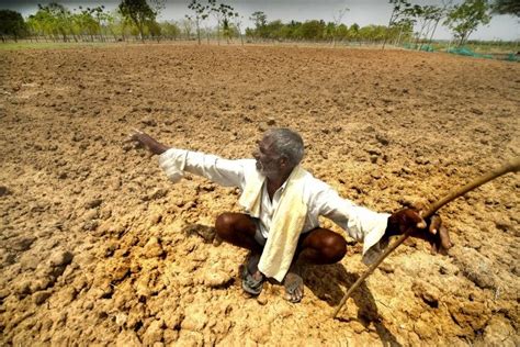 Over 12 000 Maharashtra Farmers Committed Suicide In Last 3 Years