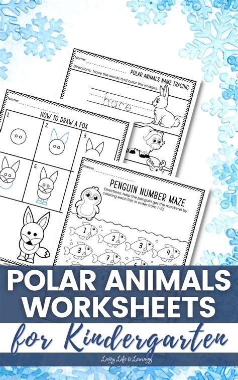 Polar Animals Worksheets for Kindergarten