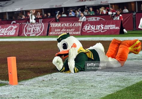 Puddles The Oregon Mascot Poses For The Pylon Camera During An Ncaa