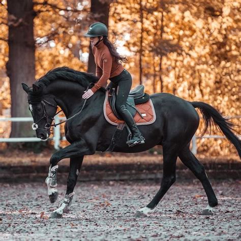 Sophia Ninette on Instagram Und der Herbst ist da Blätter