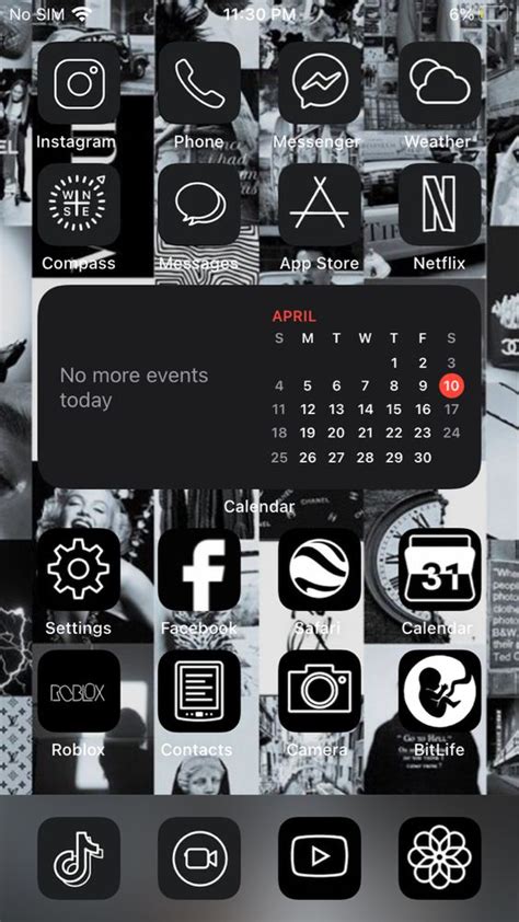 The Best iPhone Home Screen Ideas in 2021 - iPhone Hacks | #1 iPhone ...