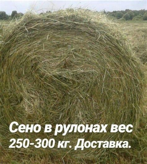 Продаем сено и солому в рулонах. Доставка | "Объявления". Даром, меняю ...