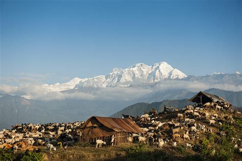 Landmark Report On Impacts Of Disappearing Snow And Ice In The Hindu