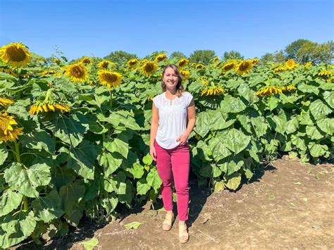 8 Sunflower Fields Near the Twin Cities - Expedition Kristen