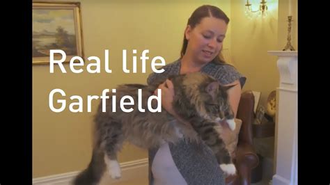 Guinness World Record Longest Cat In The World Title Returns To The Uk Youtube